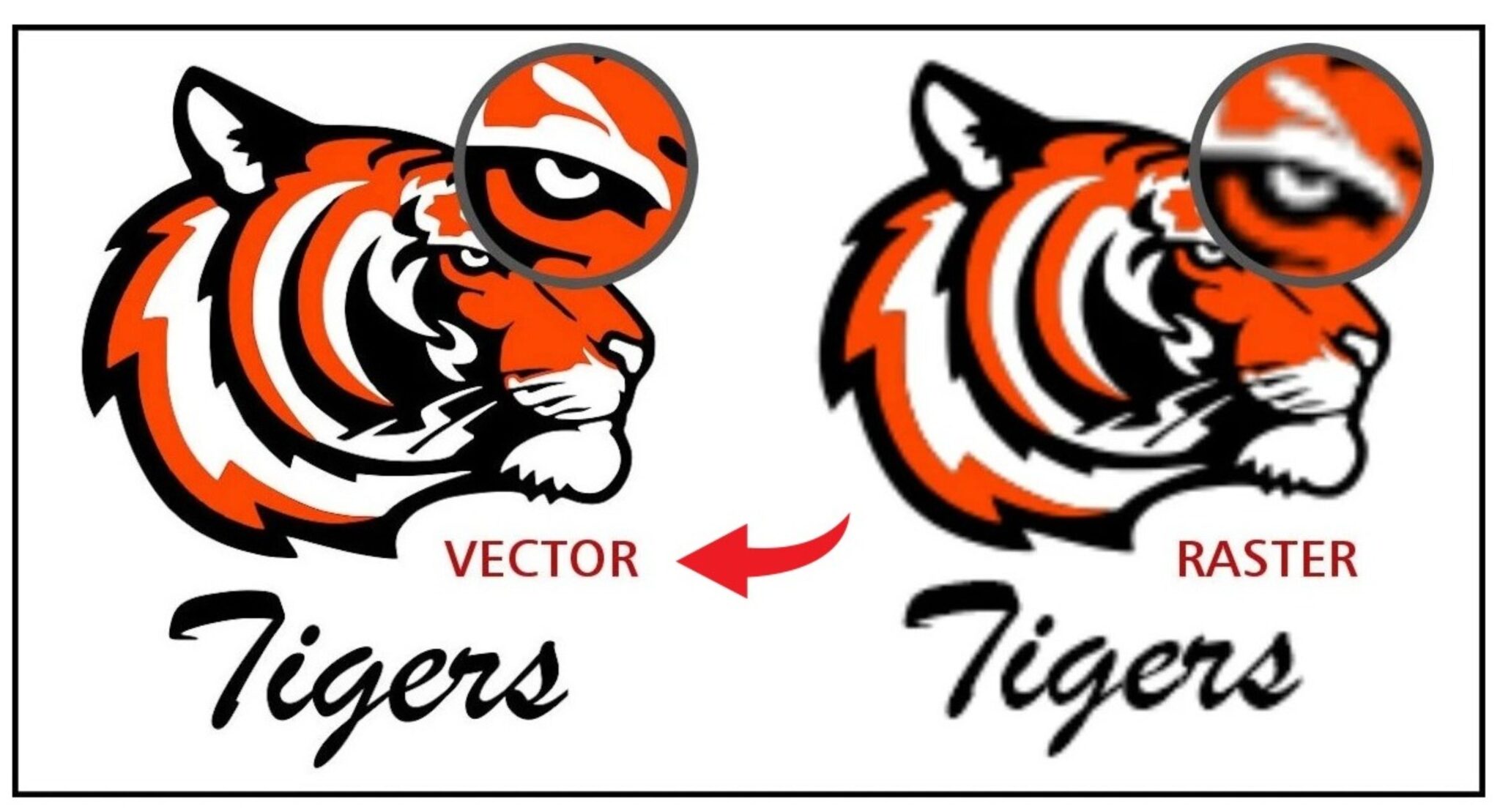 Vector Art Conversion